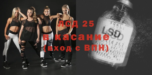 индика Баксан