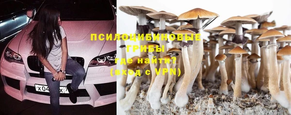 марихуана Белокуриха