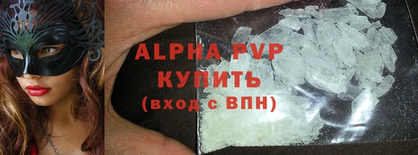 индика Баксан